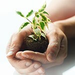 
SAS helps drive sustainable business strategies 