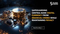 Safeguarding Central Bank Digital Currency from Financial Crimes while maintaining Privacy