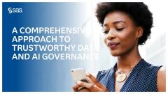 A Comprehensive Approach to Trustworthy Data and AI Governance