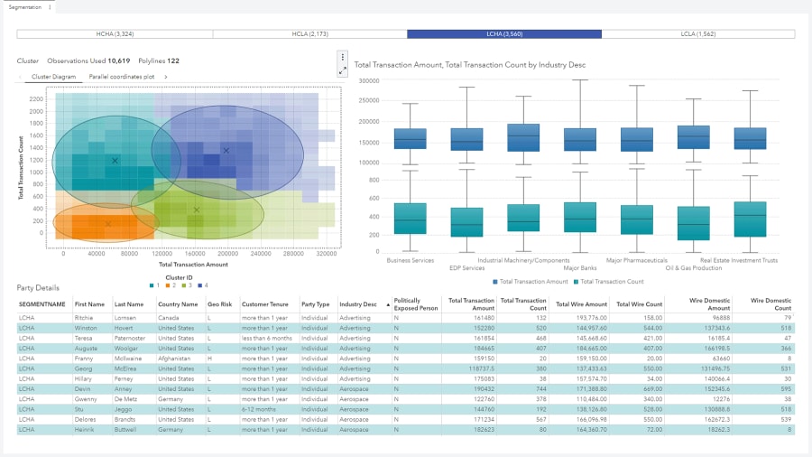 SAS Financial Crimes Analytics showing segmentation on desktop monitor